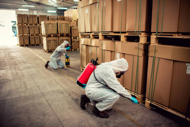 Best Local Pest Control Services  in Weaverville, CA
