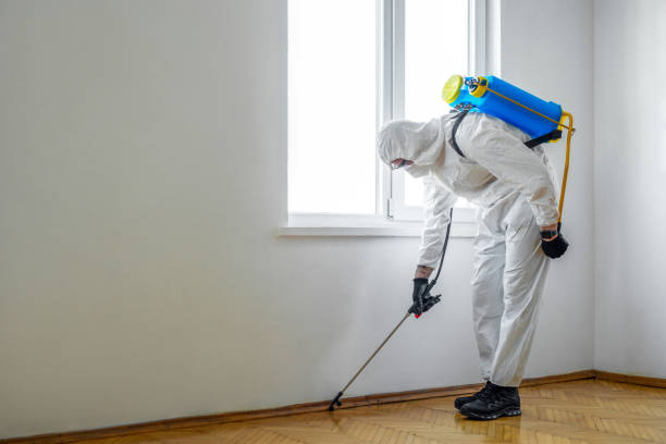 Best Bed Bug Extermination  in Weaverville, CA