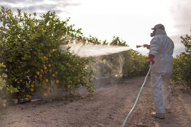 Best Pest Inspection Near Me  in Weaverville, CA