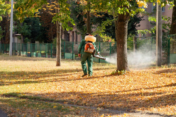 Best Wasp Removal Services  in Weaverville, CA