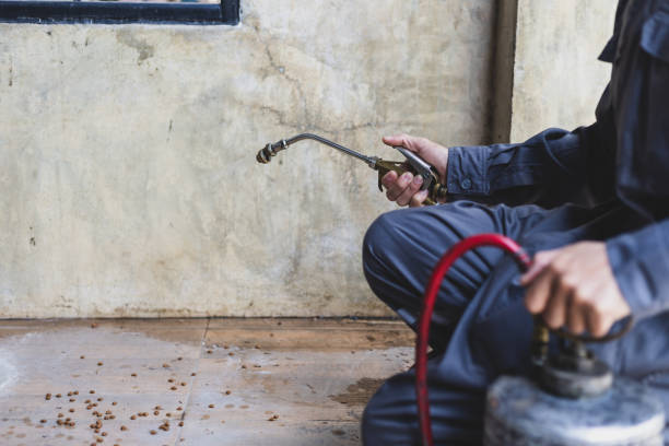 Best Affordable Exterminators  in Weaverville, CA